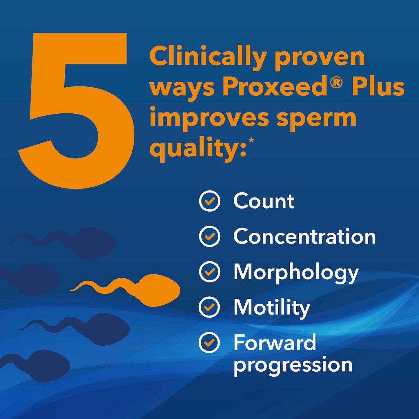 Male Fertility Support Proxeed Plus Fertility Supplements for Men | Improves Sperm Count, Concentration & Motility* | L-Carnitine Based Formula with Folic Acid | 1 Box, 30 Powder Packets