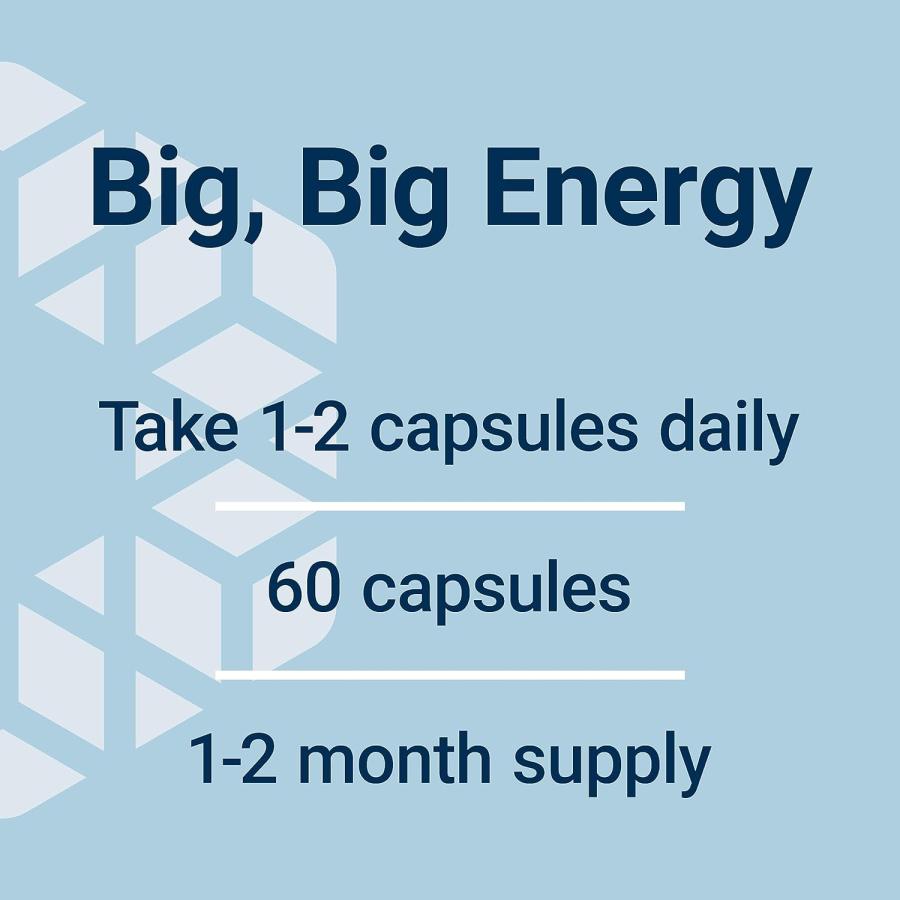 Life Extension Super R-Lipoic Acid 240 mg 60 Capsules