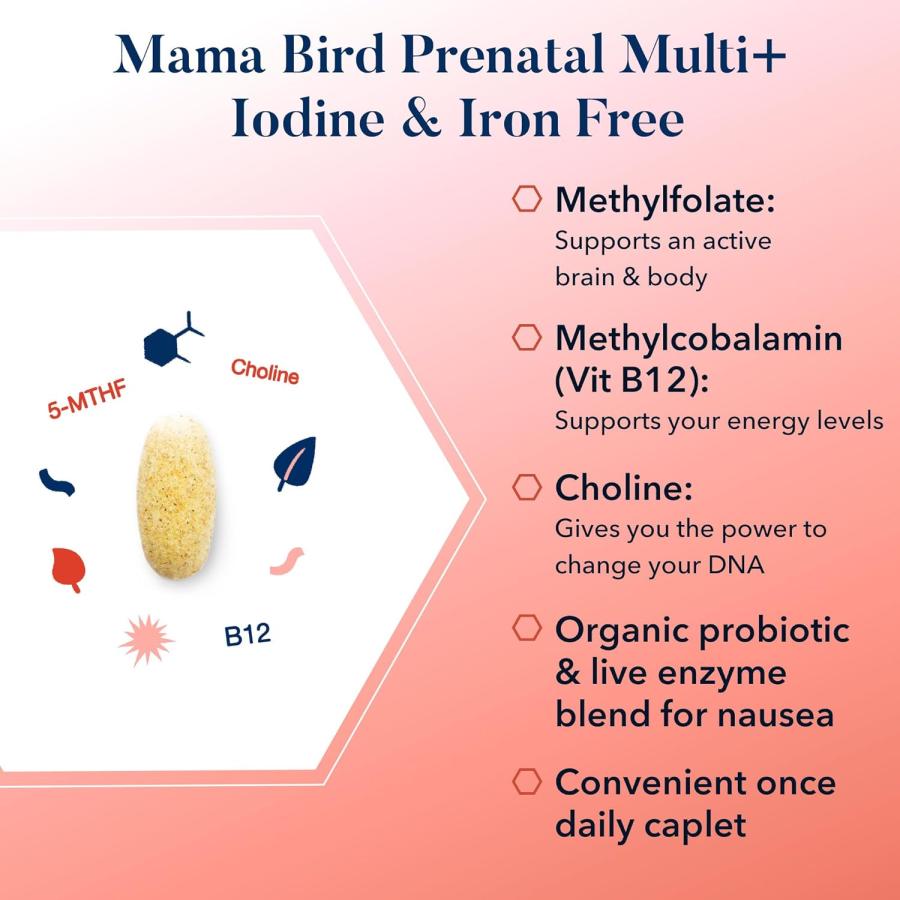 Best Nest Wellness Mama Bird Natural Folic Acid Vitamin Methylfolate No Iodine Iron